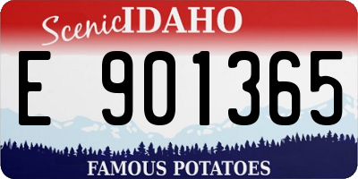 ID license plate E901365