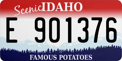 ID license plate E901376