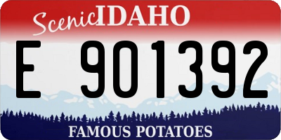 ID license plate E901392