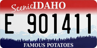ID license plate E901411
