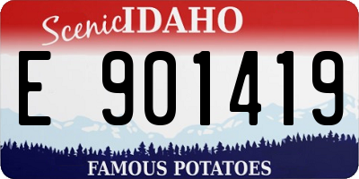 ID license plate E901419