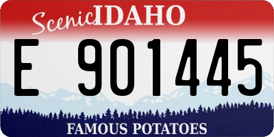 ID license plate E901445