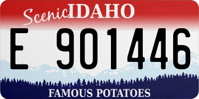 ID license plate E901446