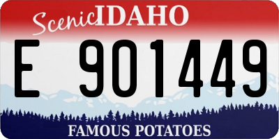 ID license plate E901449