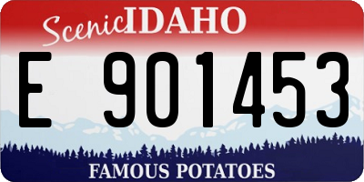 ID license plate E901453