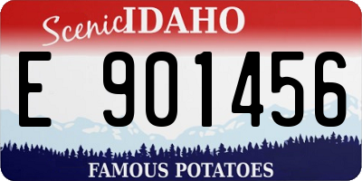 ID license plate E901456