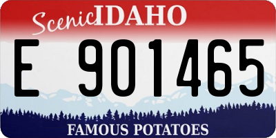 ID license plate E901465