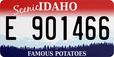 ID license plate E901466