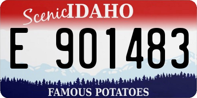 ID license plate E901483
