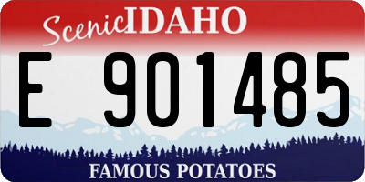 ID license plate E901485