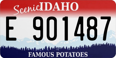 ID license plate E901487