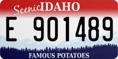 ID license plate E901489