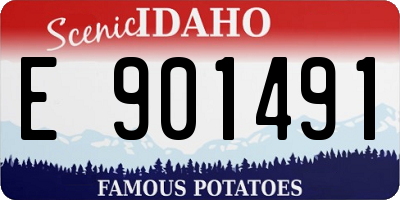 ID license plate E901491