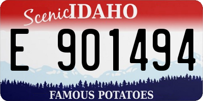 ID license plate E901494