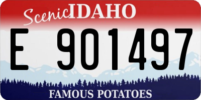 ID license plate E901497