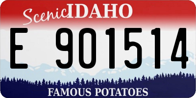 ID license plate E901514