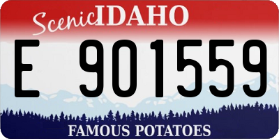 ID license plate E901559