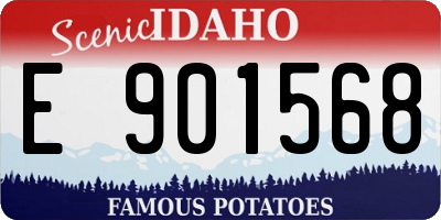 ID license plate E901568
