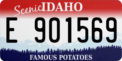 ID license plate E901569