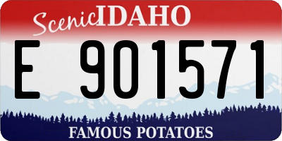 ID license plate E901571