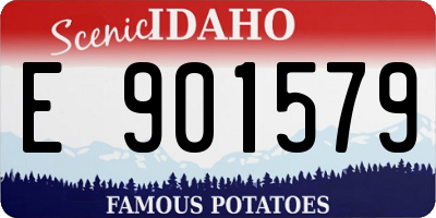 ID license plate E901579