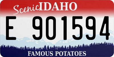 ID license plate E901594