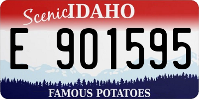 ID license plate E901595