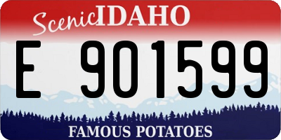 ID license plate E901599