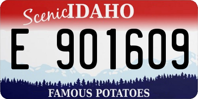 ID license plate E901609