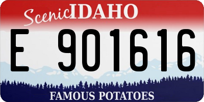 ID license plate E901616
