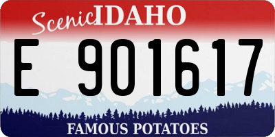ID license plate E901617