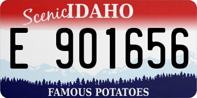 ID license plate E901656