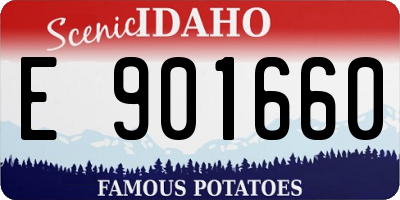 ID license plate E901660