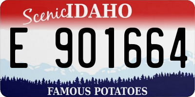 ID license plate E901664