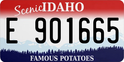 ID license plate E901665