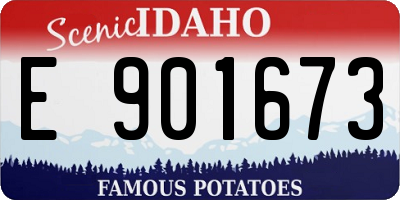 ID license plate E901673