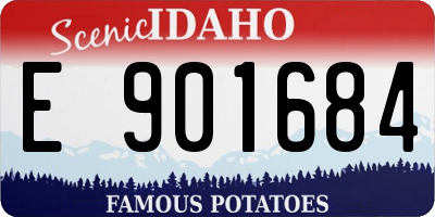 ID license plate E901684