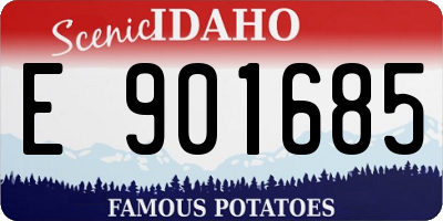 ID license plate E901685
