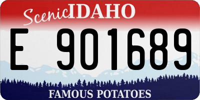 ID license plate E901689