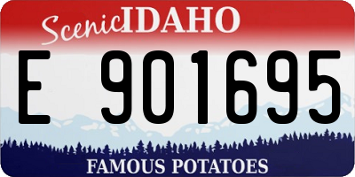 ID license plate E901695