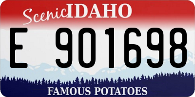 ID license plate E901698