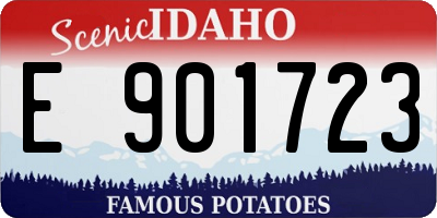 ID license plate E901723