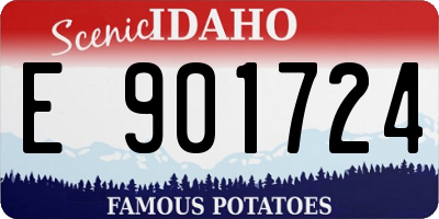 ID license plate E901724