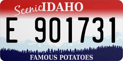 ID license plate E901731
