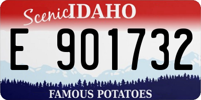 ID license plate E901732