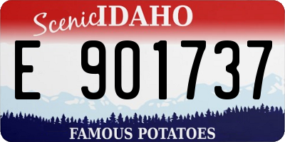ID license plate E901737