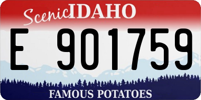 ID license plate E901759