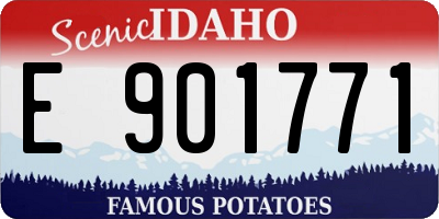 ID license plate E901771