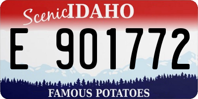 ID license plate E901772