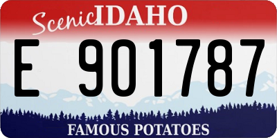 ID license plate E901787